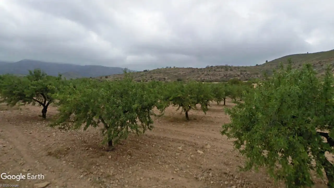 Terreno rustico in vendita a Campo de Murcia, imagen 4