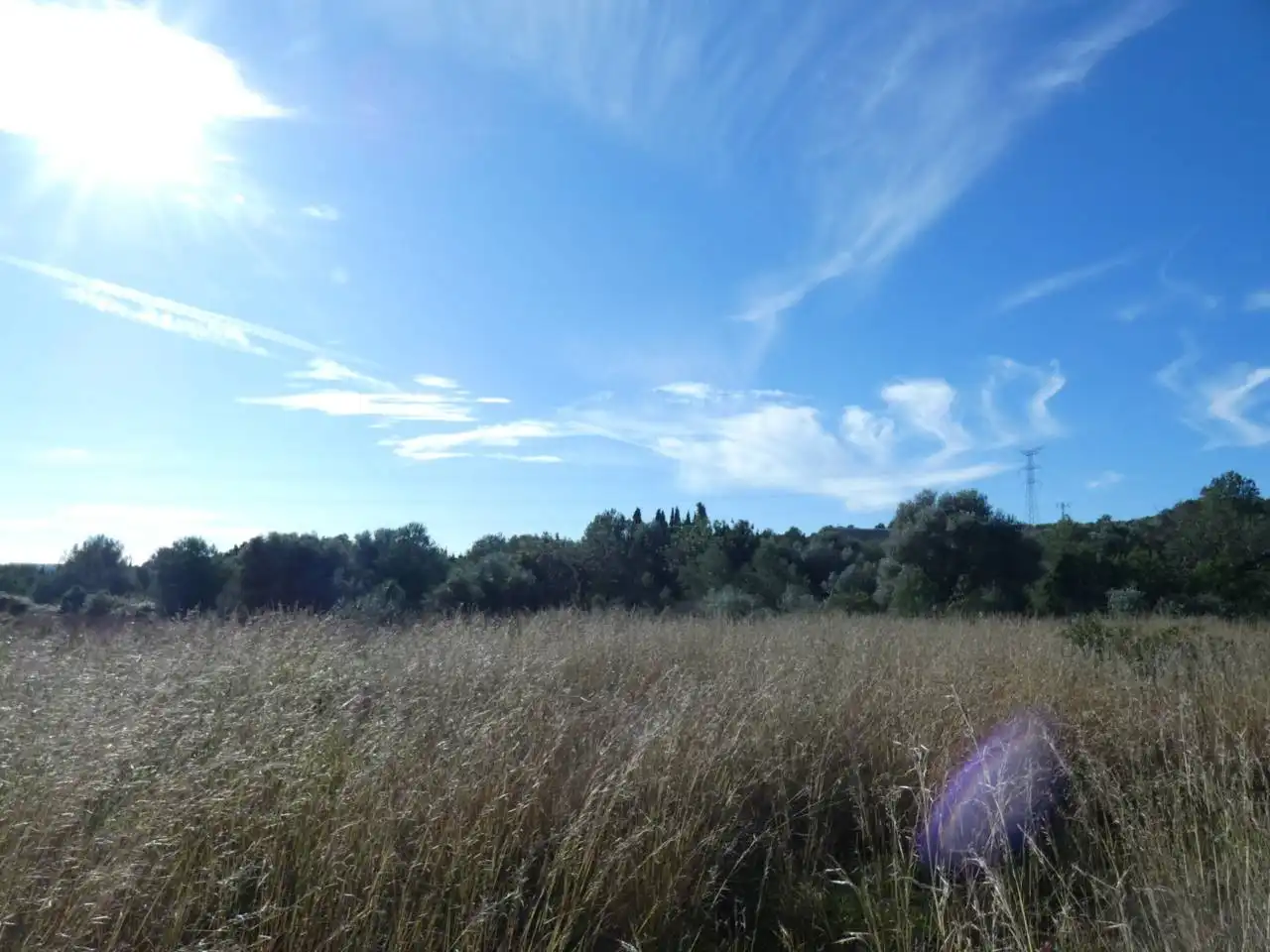 Rural land for sale in Poligono 14, PARCELA 239, imagen 2