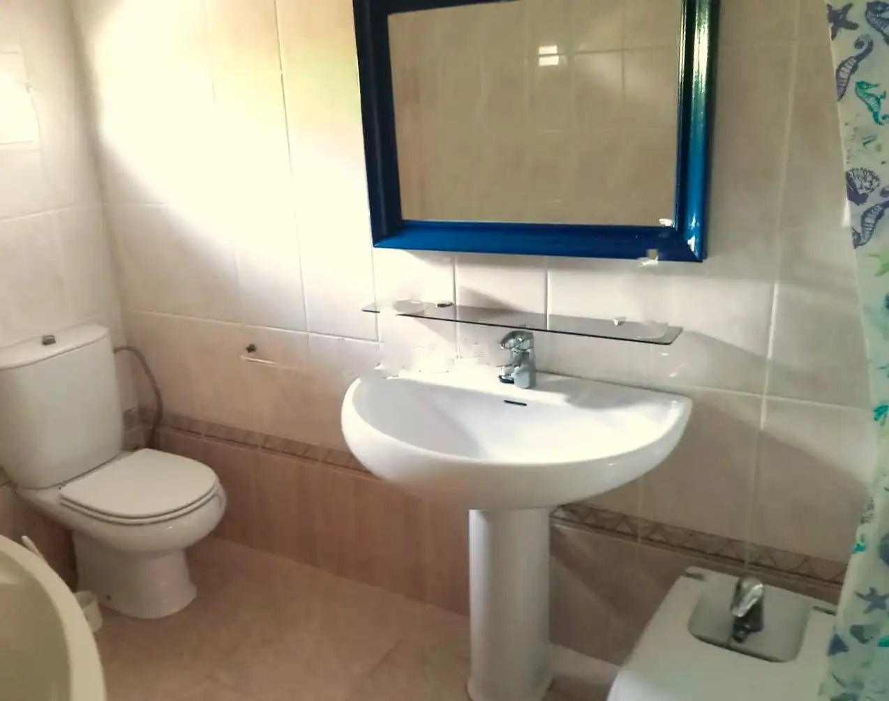 Bany de Casa o xalet en venda en Murcia amb Jardí privat