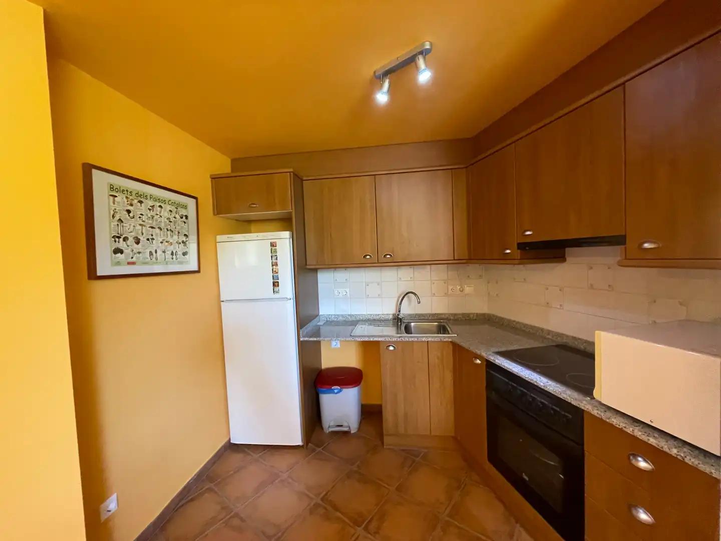 Apartamento en venta en Carrer Darrere,ag. Roni, 10, Rialp