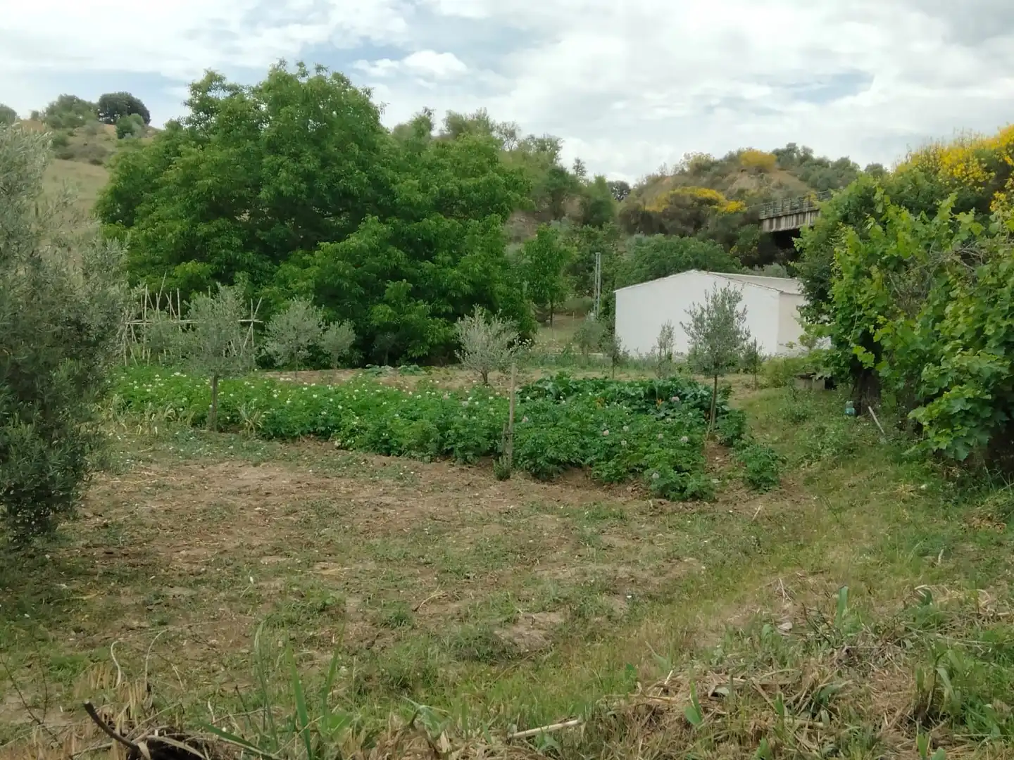 Casa rústica en venta en Partidas Sur, imagen 3