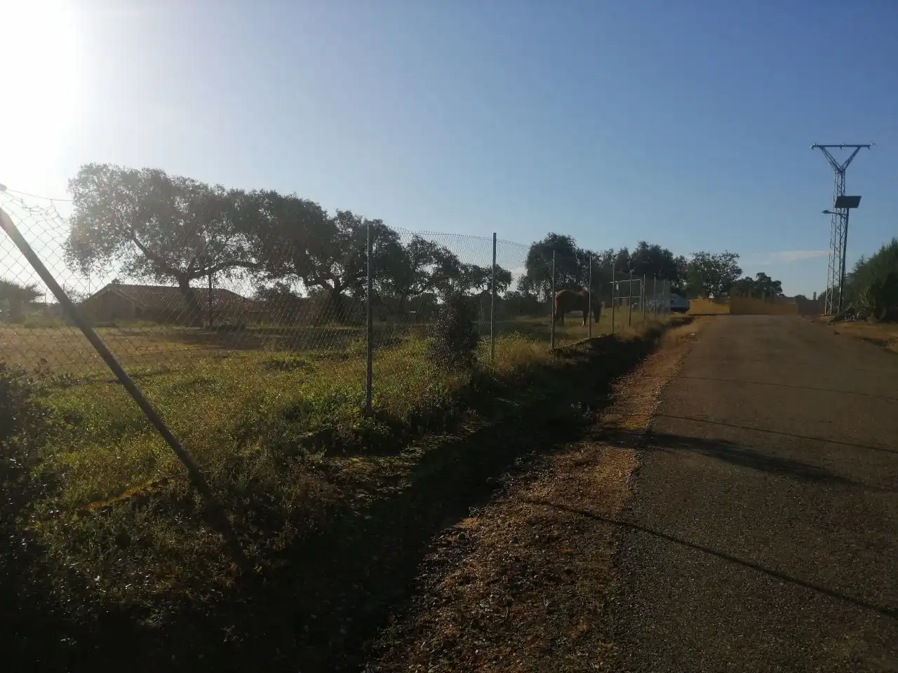 Terreny rústic en venda a Dehesilla de Calamón - Campomanes, imagen 7