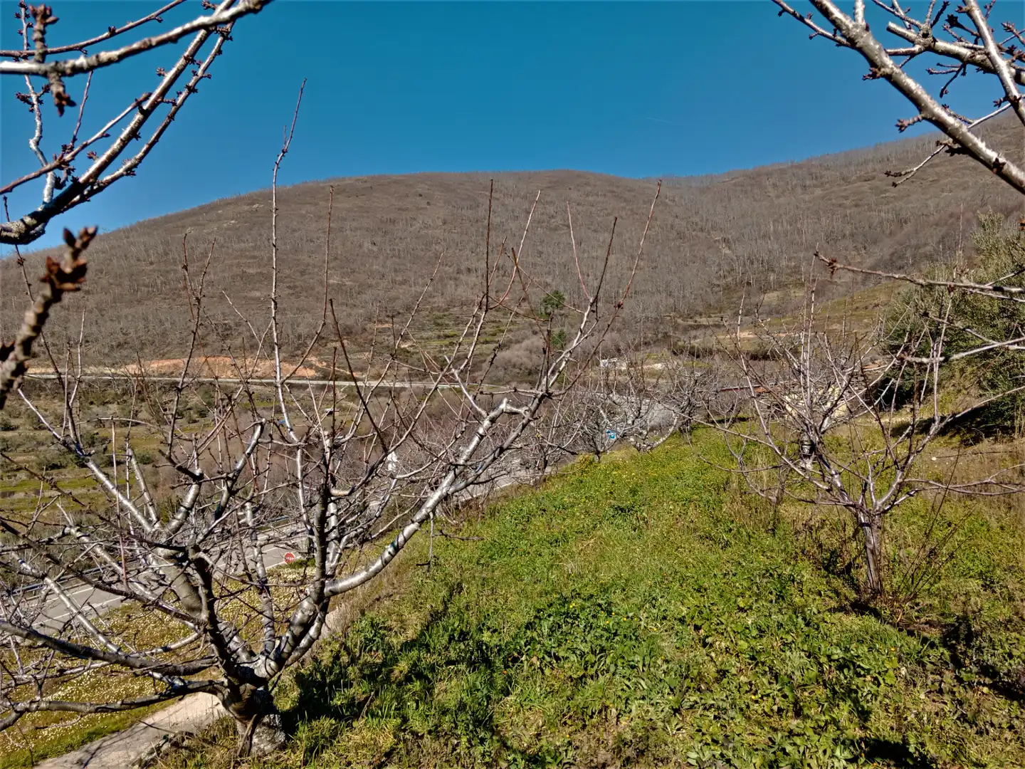 Terreni e lotti in vendita a Barrado, imagen 20