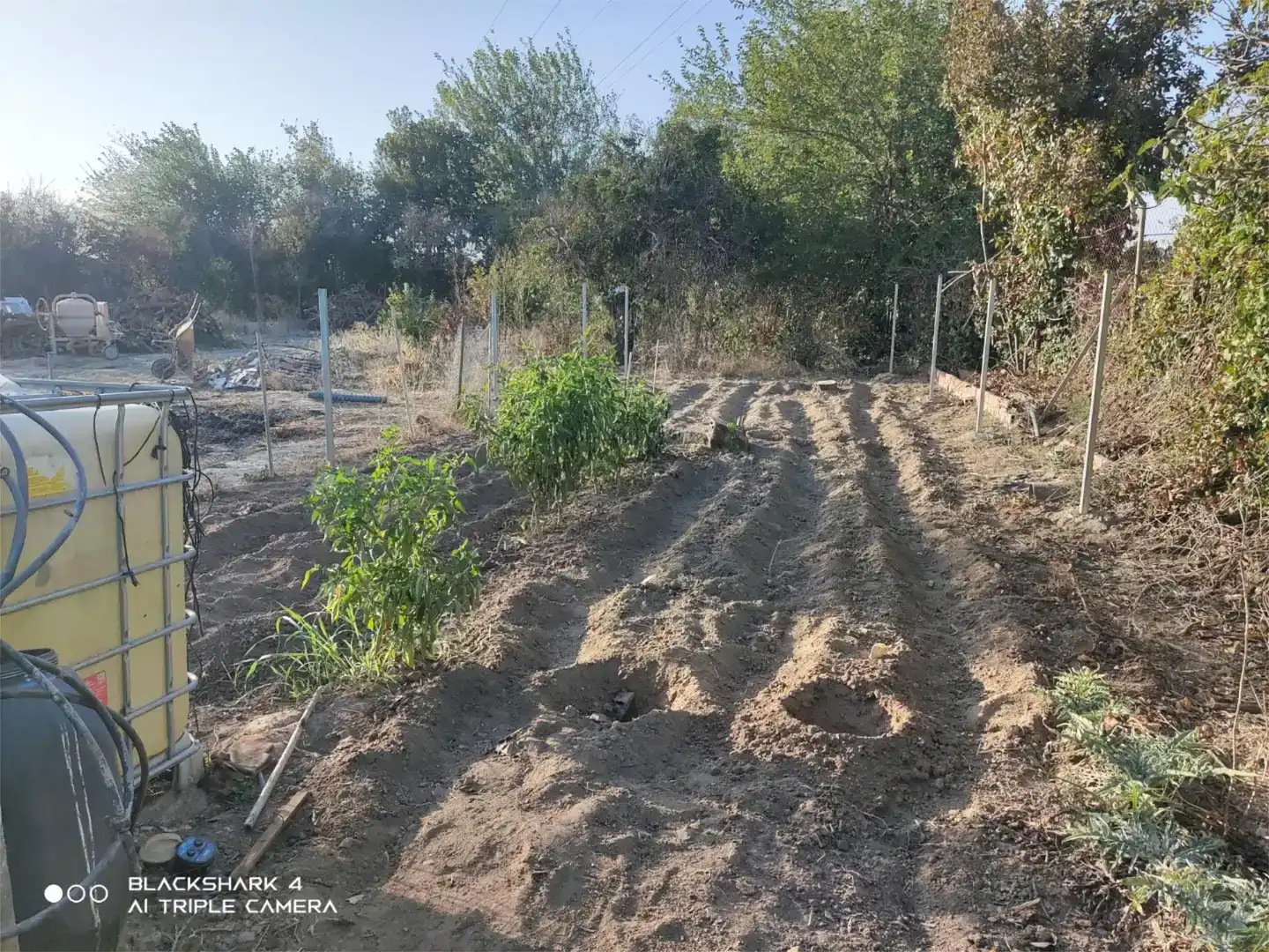 Terreno en venta en Villaverde del Río