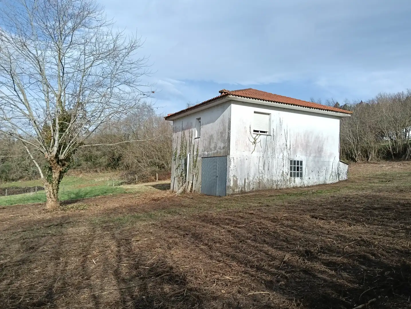 Exterior view of Houses for sale in Cesuras  with Private garden, Terrace and Storage room