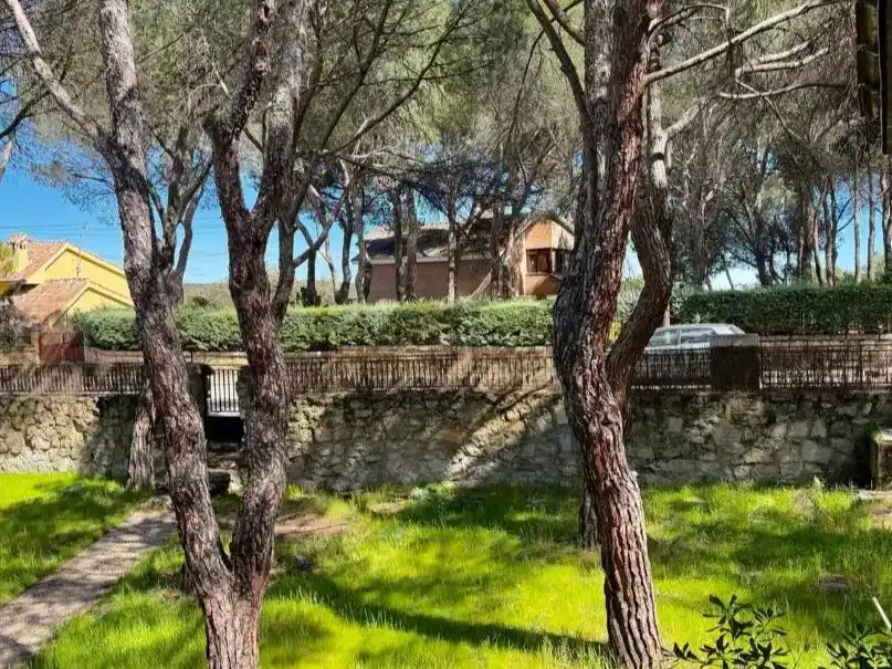 Jardí de Casa o xalet en venda en Las Rozas de Madrid amb Piscina