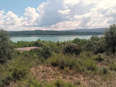 Terrenys i solars en venda a E