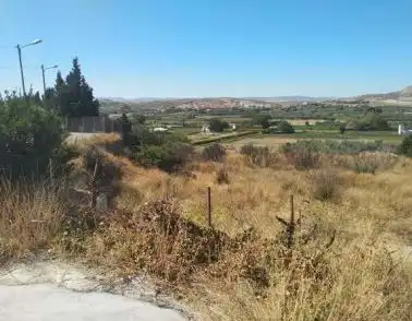 Terreni e lotti in vendita a Ayuntamiento