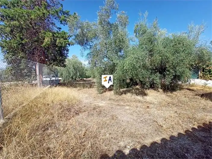 Finca rústica en venta en Cabra