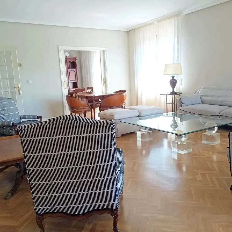 Sala d'estar de Pis de lloguer en Madrid amb Aire condicionat, Calefacció i Parquet