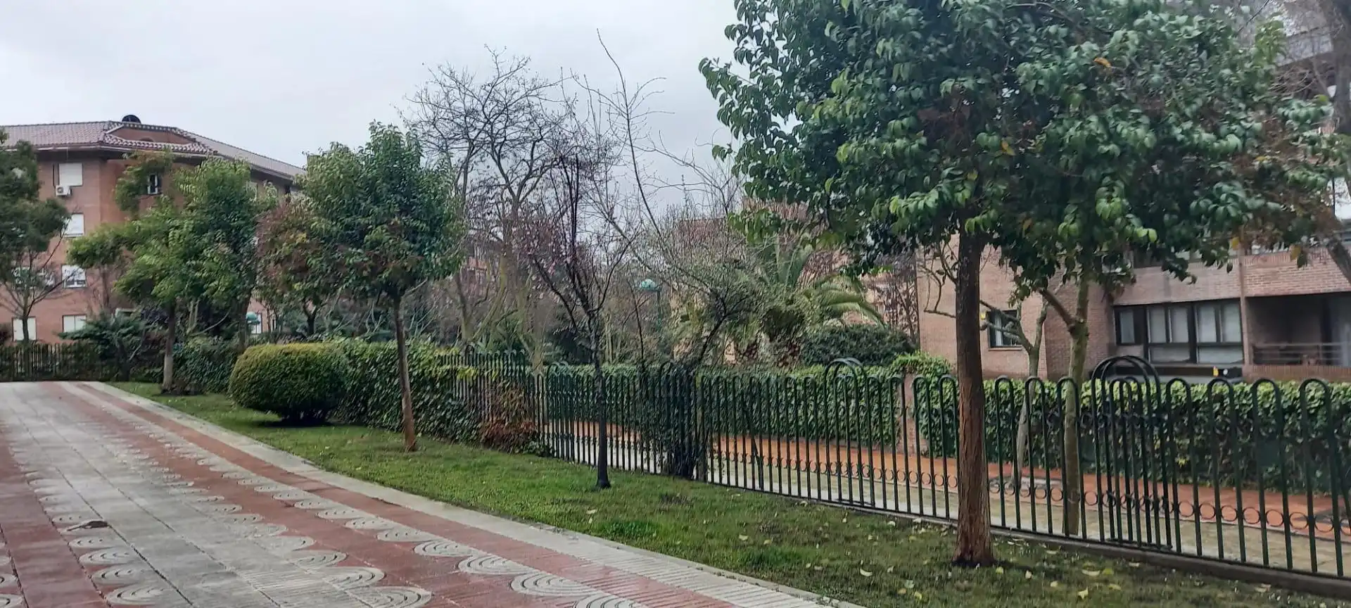 Local de alquiler en Carretera Vía de las Dos Castillas, Avenida Europa