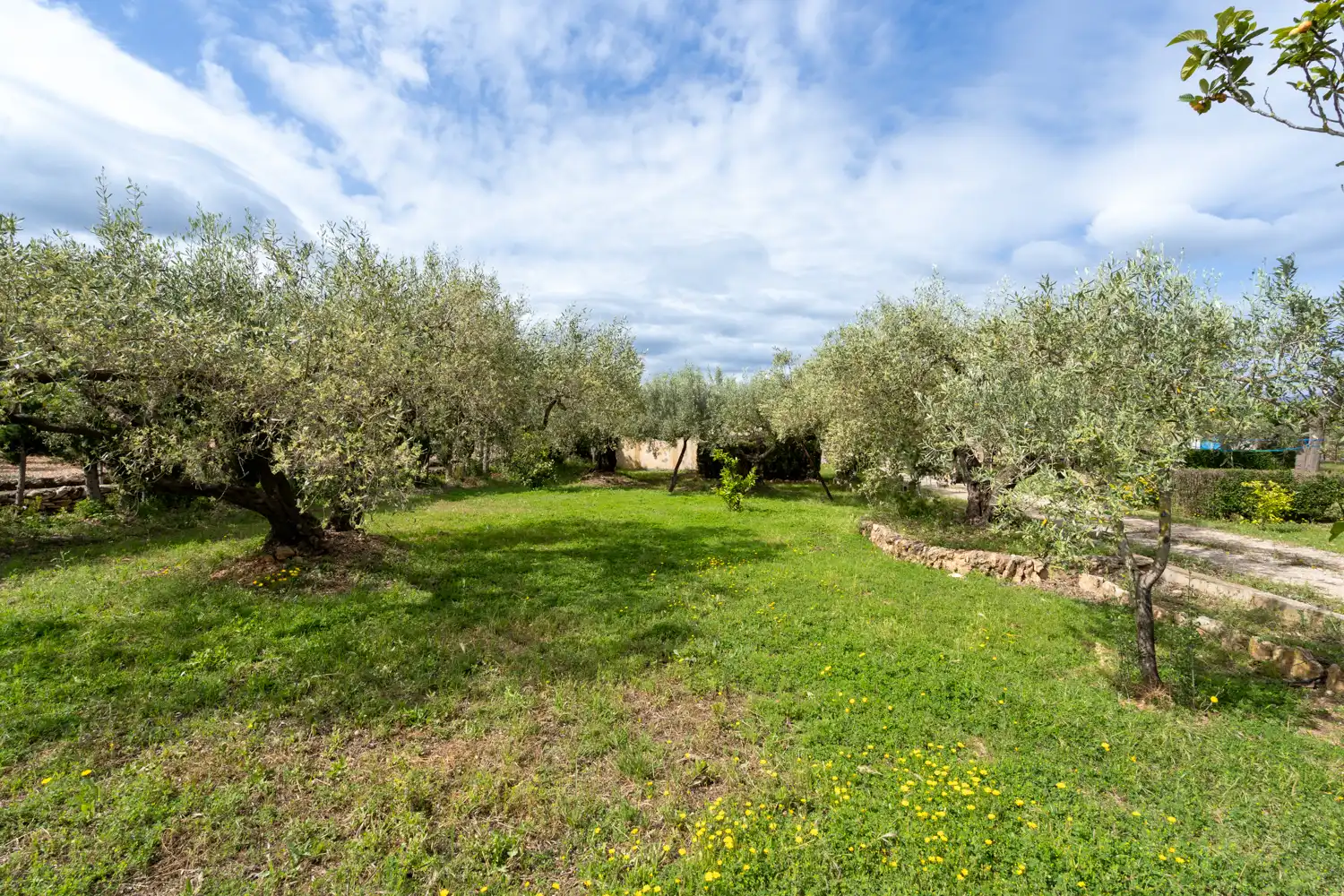 Houses for sale in Aldover  with Air Conditioner, Private garden and Terrace