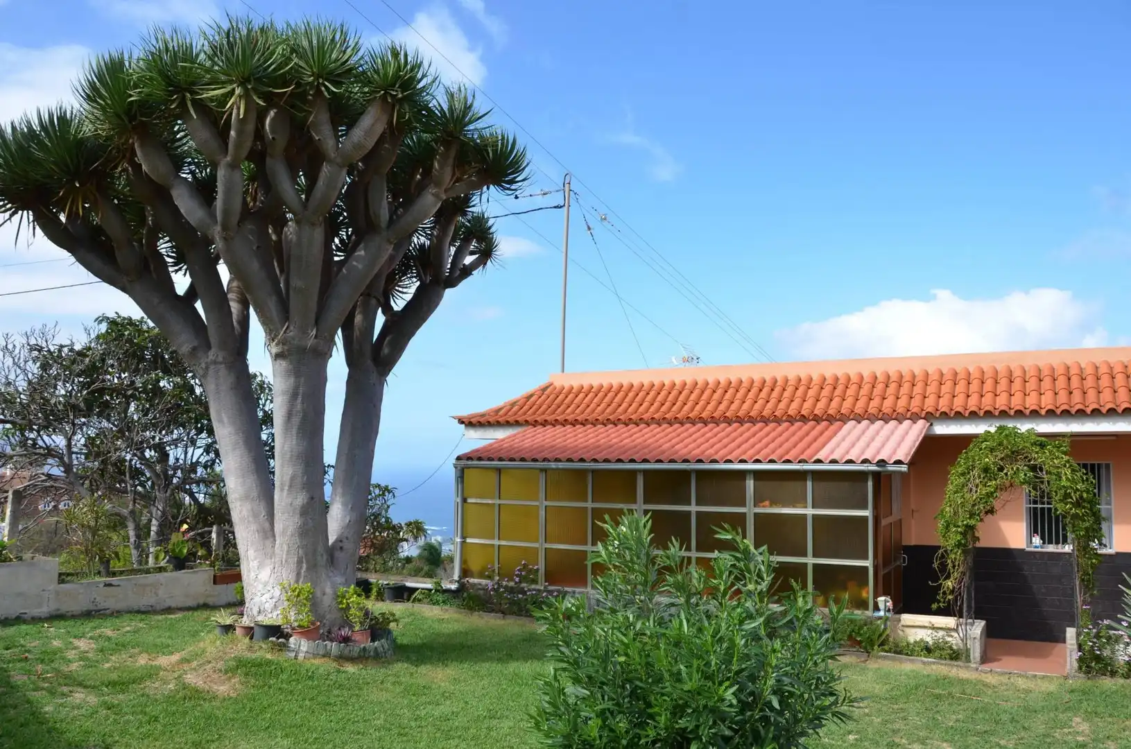 Vista exterior de Casa o chalet en venta en Santa Úrsula con Jardín privado, Terraza y Trastero
