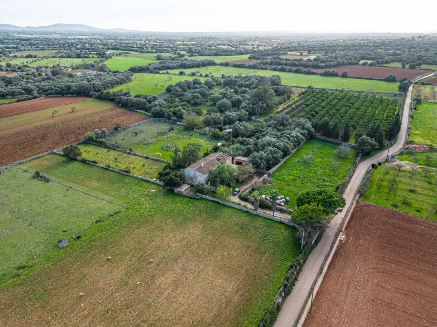 Residential land for sale in S'Horta - Cas Concos des Cavaller - Es Carritxó, imagen 9