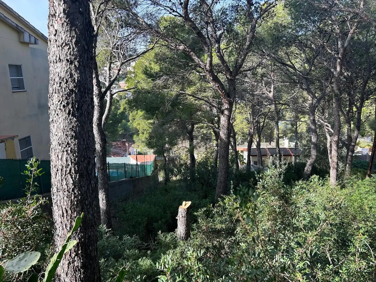 Lands and plots for sale in Segur de Calafell, imagen 3
