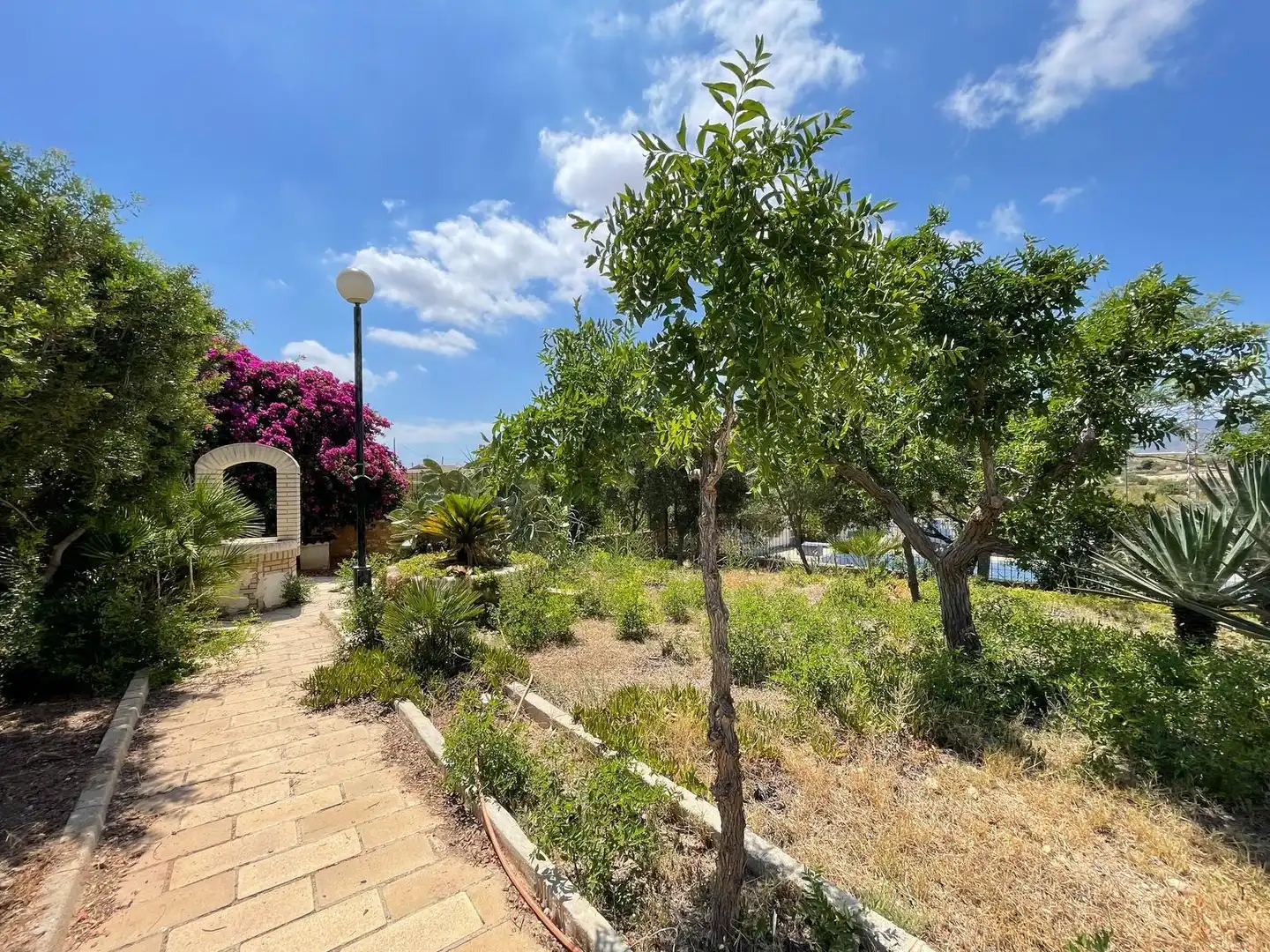 Casa rústica con piscina en venta en Pedanías Oeste, imagen 66
