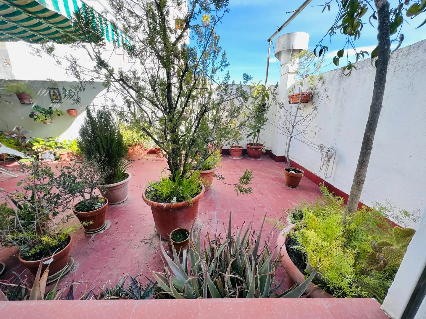 Terrassa de Casa o xalet en venda en Úbeda amb Terrassa
