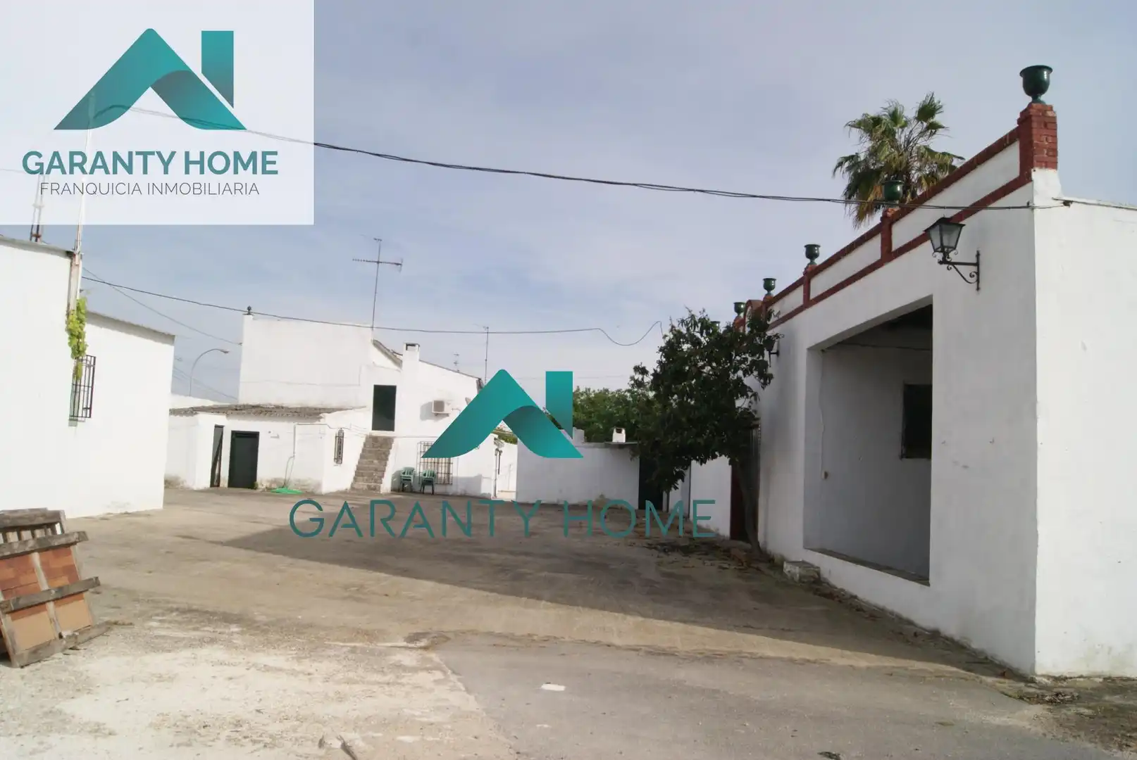 Vista exterior de Casa o chalet en venta en Lucena