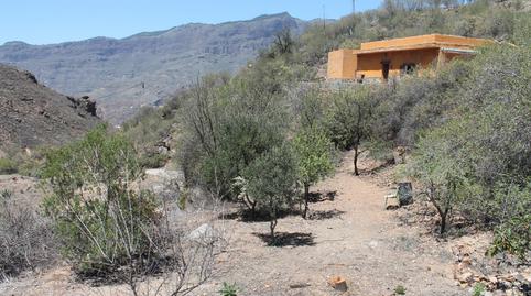 Foto 2 de Finca rústica en venta en Calle Timagada , 2, Tejeda, Las Palmas