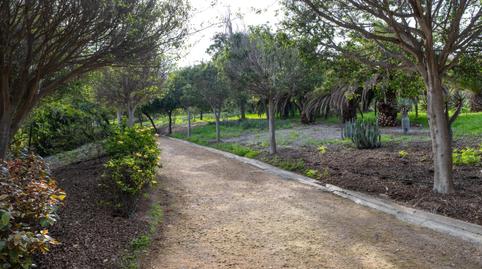 Foto 4 von Wohnung zum Verkauf in Lomo la Plana, Siete Palmas, Las Palmas de Gran Canaria