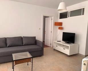 Living room of Flat to rent in A Coruña Capital   with Heating, Storage room and Furnished