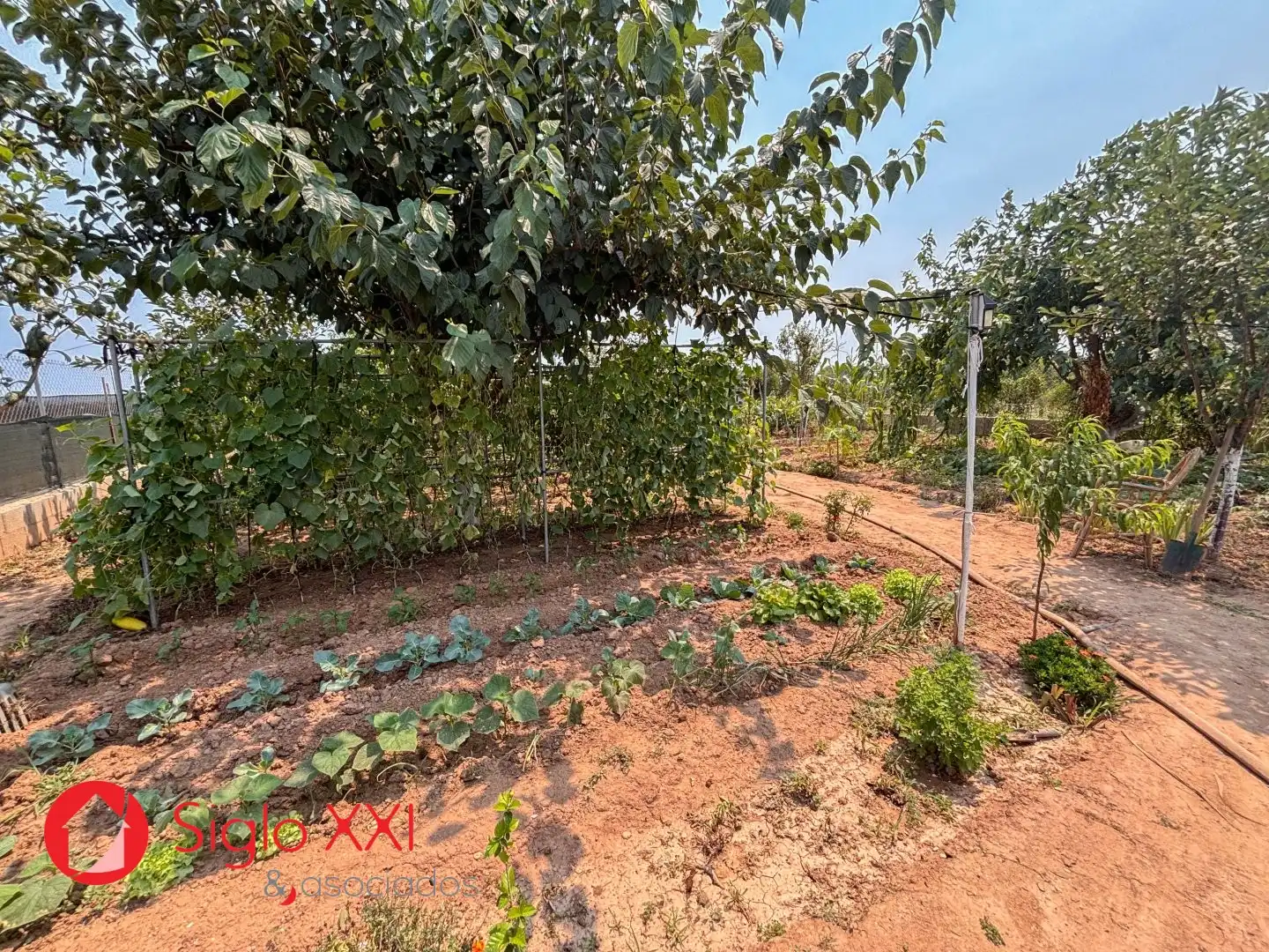 Country house zum Verkauf in Almazora / Almassora mit Heizung, Privatgarten und Möbliert