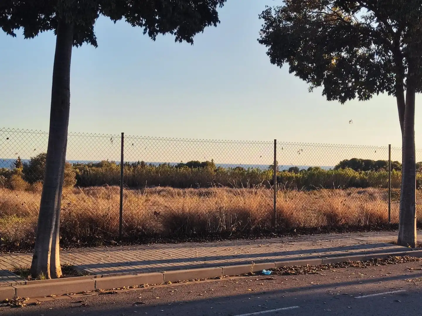 Terreno residencial en venta en Forca 41