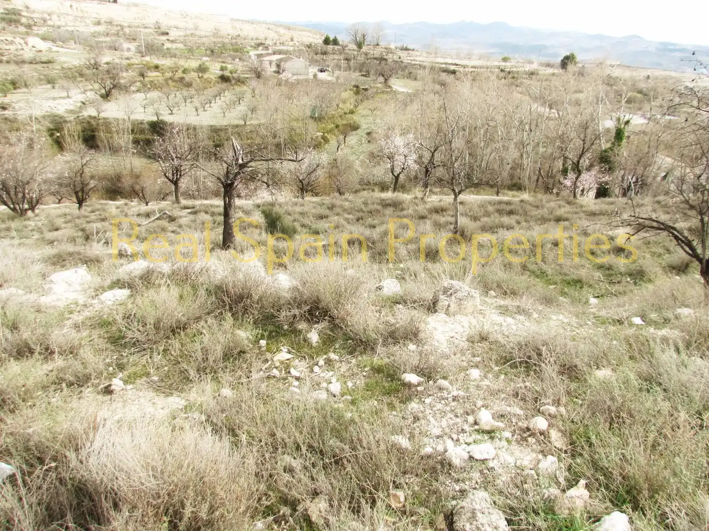 Terrenos y solares en venta en Vélez-Blanco, imagen 4