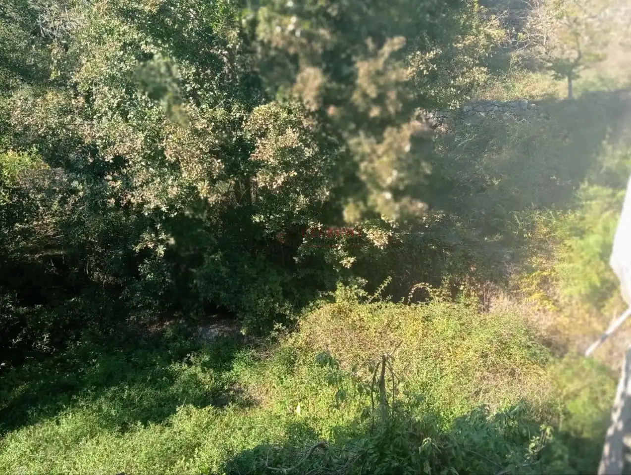 Country house with garden for sale in San Rosendo, imagen 24