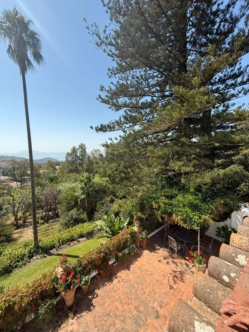 Jardín de Casa o chalet en venta en Algeciras con Jardín privado, Terraza y Piscina
