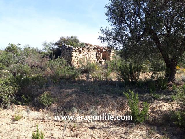 Terreno en Venta en Maella