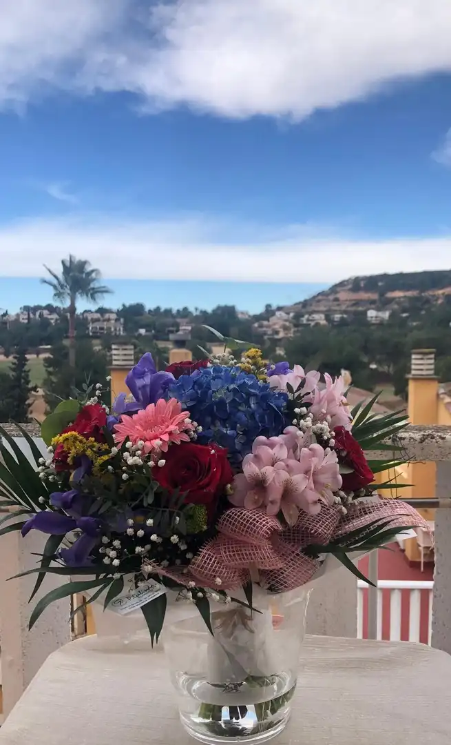 Jardí de Casa adosada en venda en Torrent amb Aire condicionat, Calefacció i Terrassa