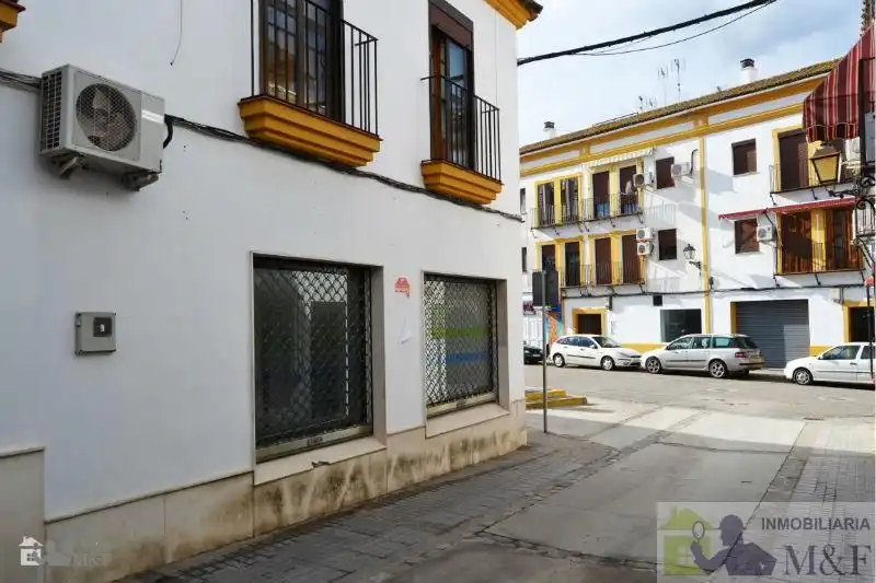 Vista exterior de Local en venta en Palma del Río con Aire acondicionado