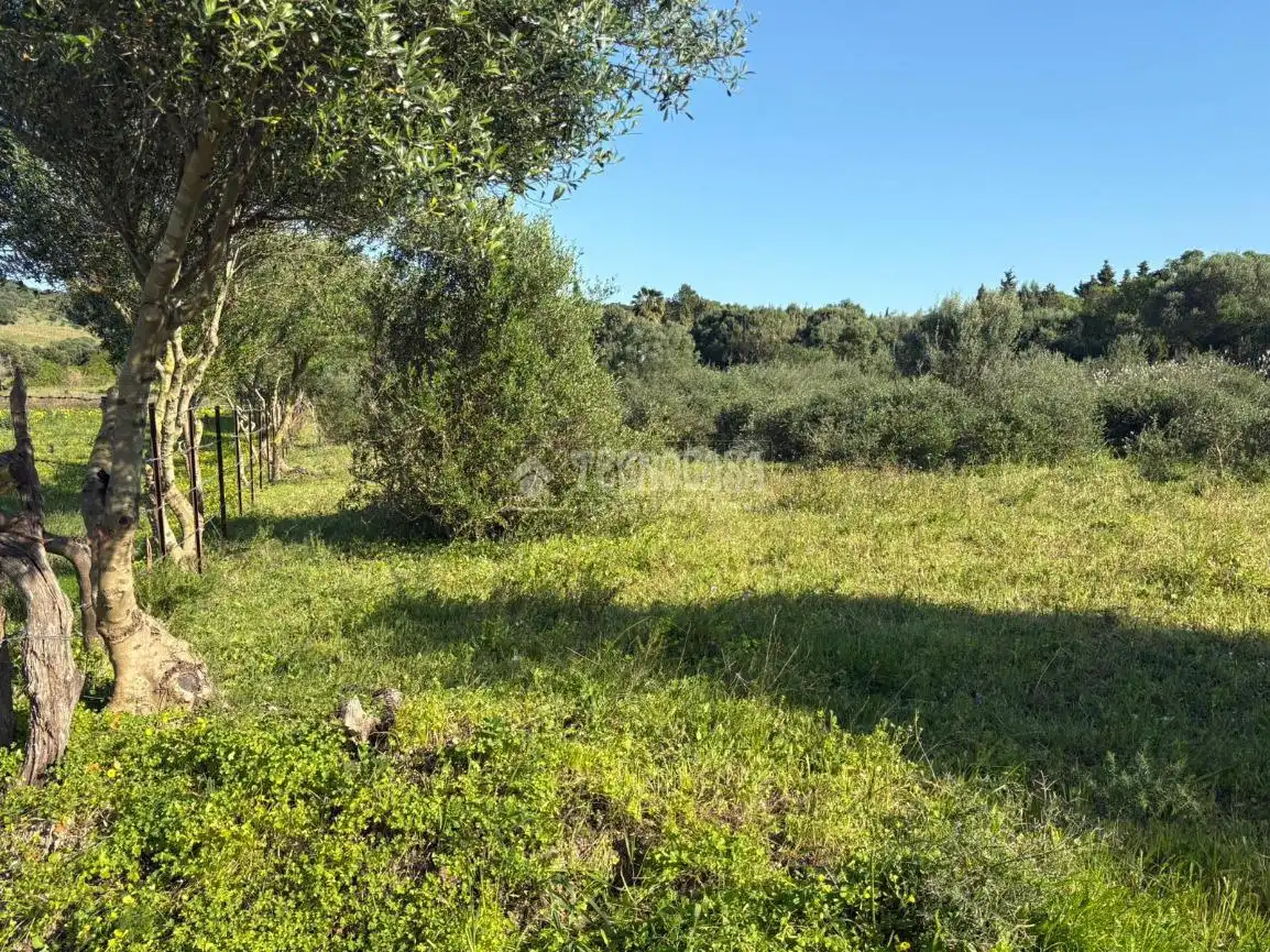 Terreno rustico in vendita a Barbate ciudad, imagen 15