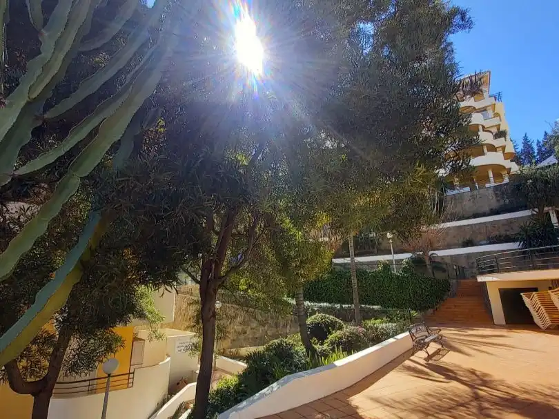 Pis amb jardí de lloguer a Calle el califa 16, imagen 2