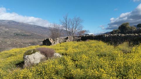 Foto 5 de Terreny en venda a N/a, -1, Casas del Castañar, Cáceres