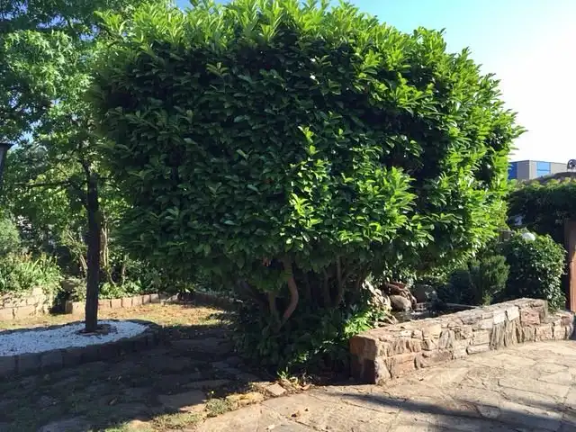 Jardín de Casa o chalet en venta en Taradell con Amueblado