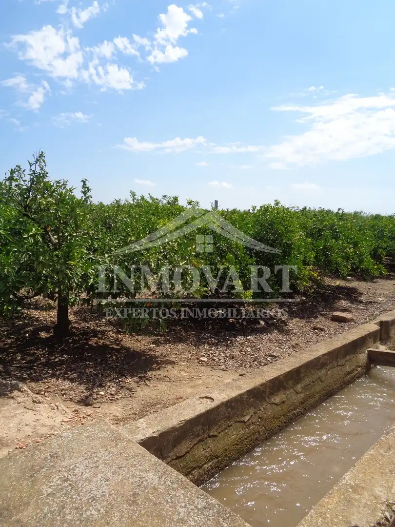 Rural land for sale in Sollana, imagen 3