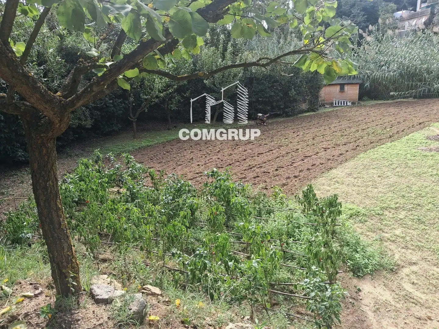 House with pool for sale in can rovira, imagen 22