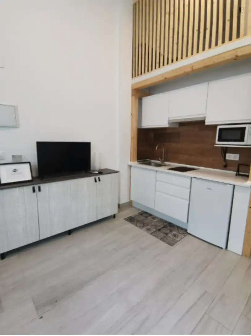 Estudio de alquiler en San Nicasio
