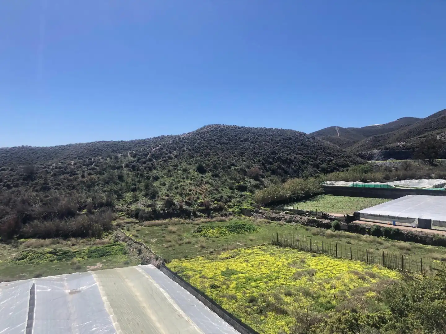 House for sale in Adra, imagen 2