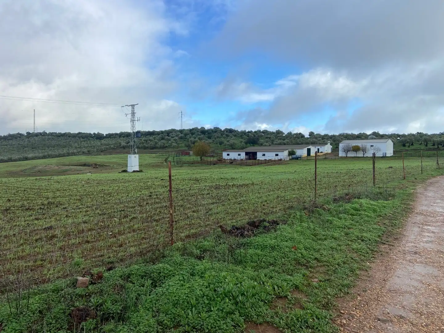 Grundstücke zum Verkauf in Olivenza
