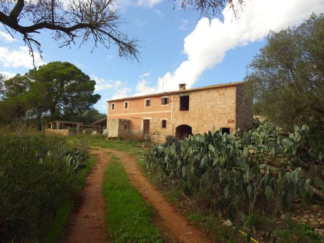 Finca rústica en Venta en Sant Jordi