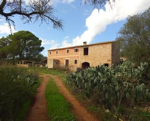 Vista exterior de Finca rústica en venda en  Palma de Mallorca