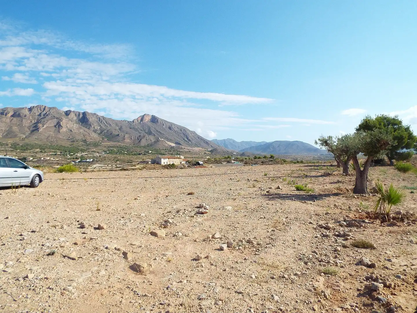 Lands and plots for sale in Abanilla, imagen 10