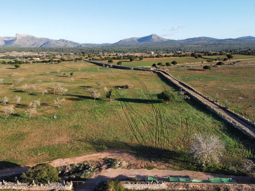Finca rústica en venda en Santa Margalida