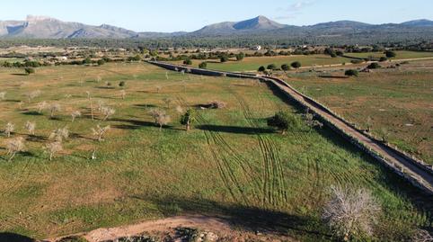 Photo 3 of Country house for sale in Son Serra de Marina, Illes Balears