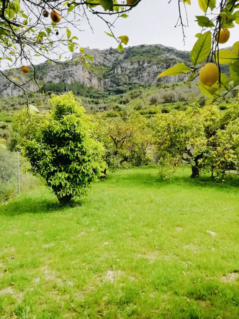 Terreno rústico en venta en Xaló, imagen 4