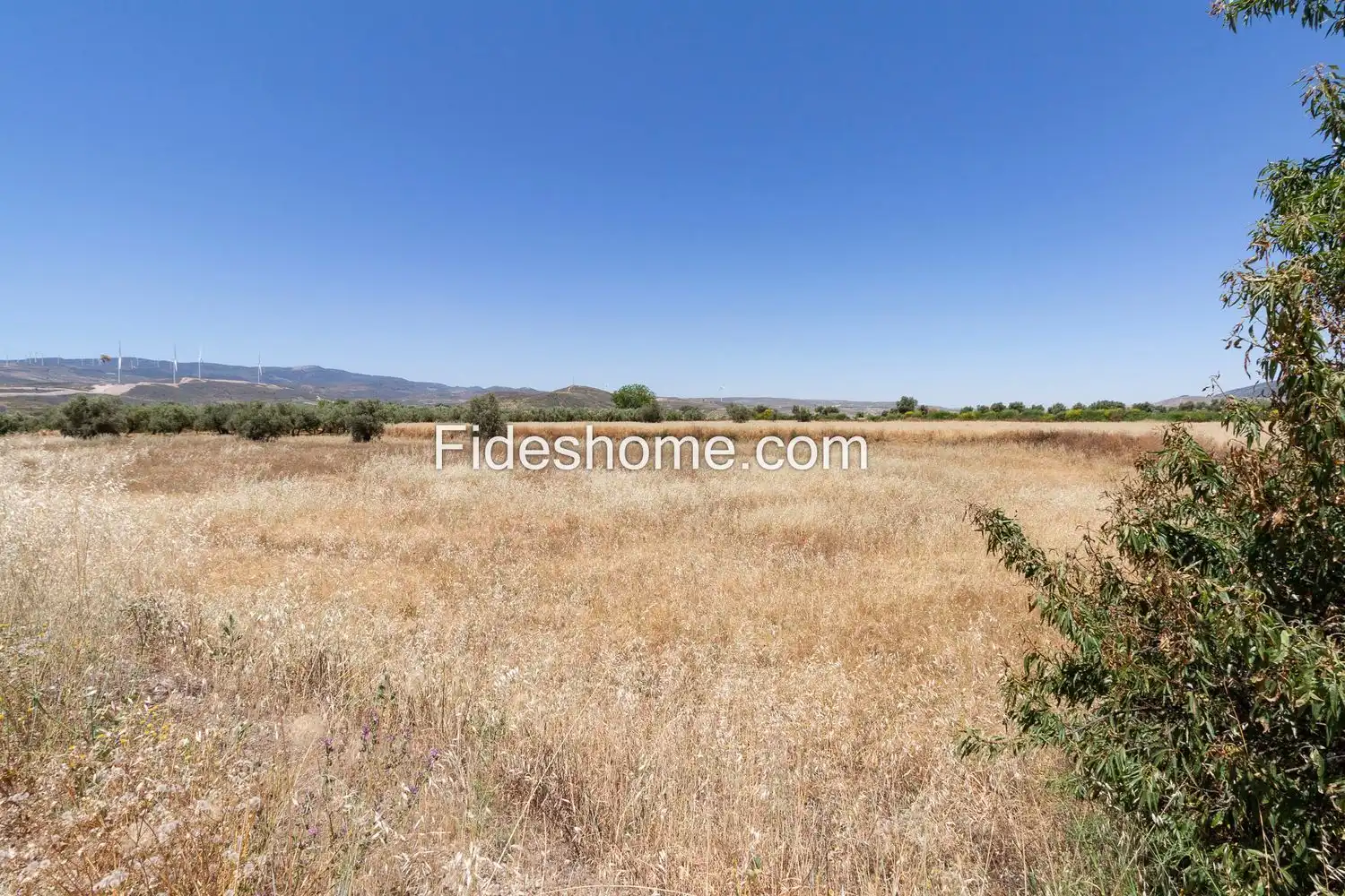 Rural land for sale in XCV6+H86 Cozvijar 0, imagen 8