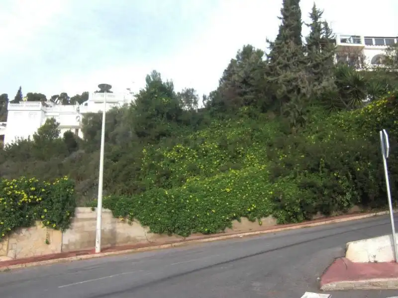 Terrenys i solars en venda a Dinamarca 19, imagen 4